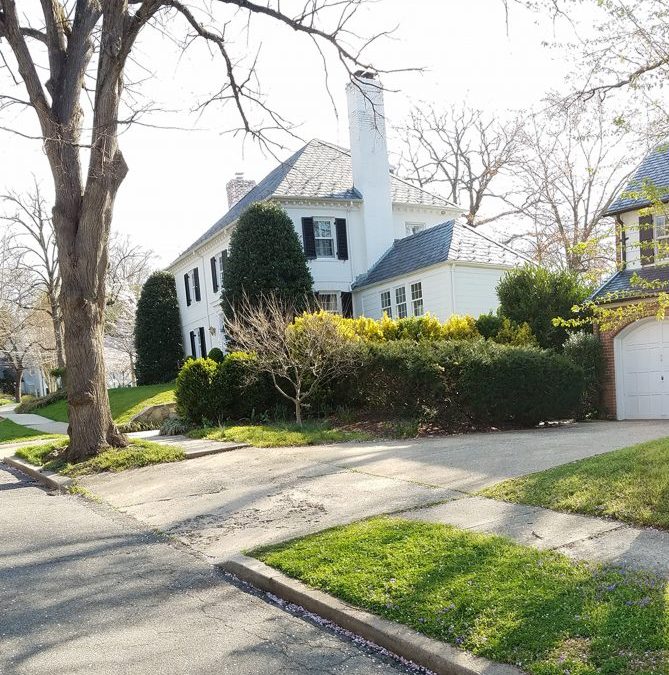 Residential Sidewalk – Washington, DC