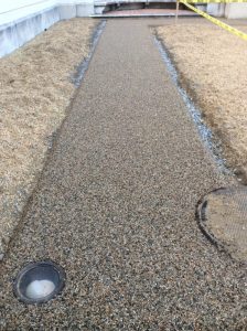 OAS 2019-09-17 18.45.20 copy