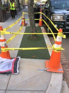 Ontario 17 2018-11-01 14.47.46