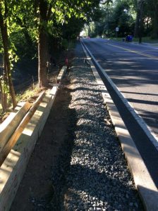 Phil Ave 2019-07-17 07.25.27 copy