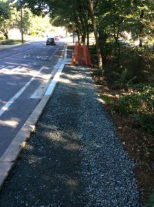 Phil Ave 2019-07-18 08.15.53 copy