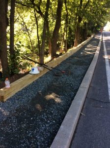 Phil Ave 2019-07-18 08.16.05 copy