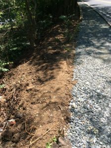Phil Ave 2019-07-19 13.13.57 copy