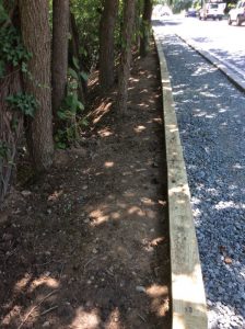 Phil Ave 2019-07-19 13.14.08 copy