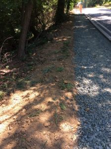 Phil Ave 2019-07-19 13.14.48 copy