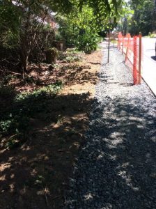 Phil Ave 2019-07-19 13.15.52 copy