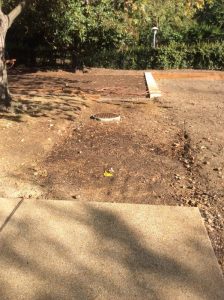 River Park 2019-09-26 09.40.48 copy