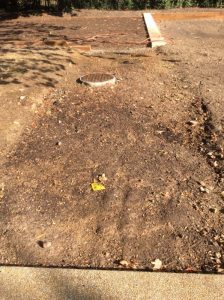 River Park 2019-09-26 09.40.51 copy