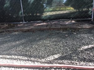 River Park 2019-09-26 11.00.20 copy
