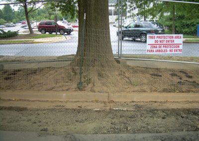 Safeway Non-Invasive Curb Demo 016