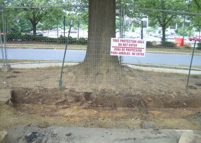 Safeway Non-Invasive Curb Demo 020