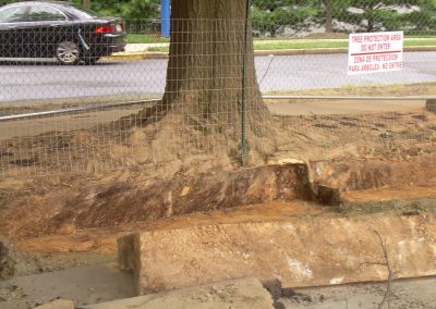 Safeway Non-Invasive Curb Demo 061