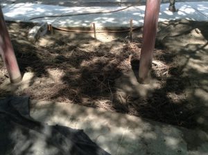 Salis Univ 2017-08-10 12.26.26 copy