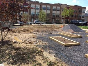 Suitland 2020-06-05 15.10.42 copy