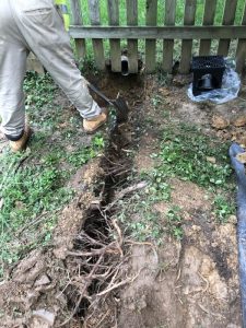 Vaughn 2019-09-11 08.35.41 copy