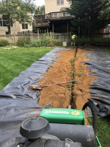 Vaughn 2019-09-11 08.35.58 copy
