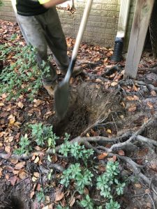 Vaughn 2019-09-11 09.23.33 copy