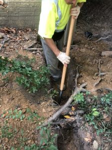 Vaughn 2019-09-11 11.03.44 copy