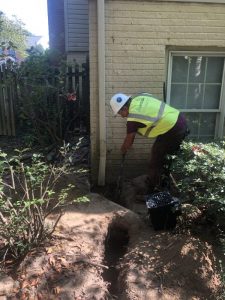 Vaughn 2019-09-11 11.08.05 copy