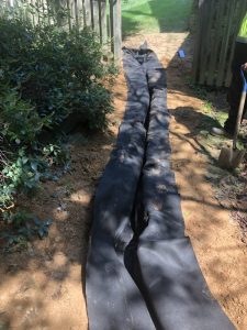 Vaughn 2019-09-11 13.17.32 copy