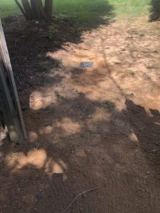 Vaughn 2019-09-11 14.01.44 copy