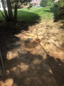 Vaughn 2019-09-11 14.01.51 copy