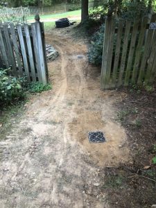 Vaughn 2019-09-11 15.57.58 copy