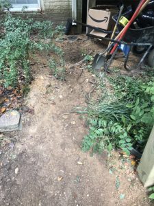 Vaughn 2019-09-11 15.58.29 copy