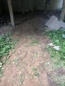 Vaughn 2019-09-11 15.58.55 copy