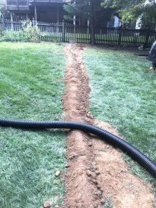 Vaughn 2019-09-11 16.00.14 copy