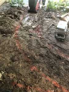 Vaughn 2019-09-12 10.13.31 copy