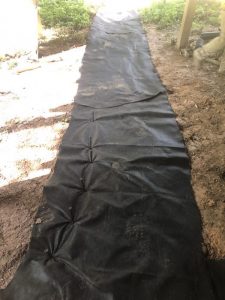 Vaughn 2019-09-12 10.21.48 copy