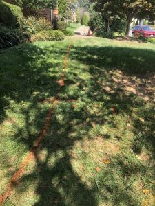 Vaughn 2019-09-12 11.55.47 copy