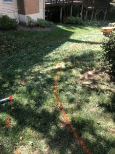 Vaughn 2019-09-12 11.55.59 copy