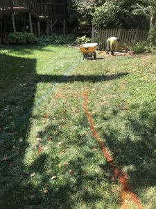 Vaughn 2019-09-12 11.56.05 copy