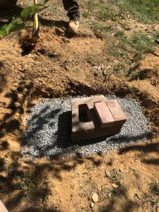 Vaughn 2019-09-12 11.56.23 copy