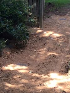 Vaughn 2019-09-12 14.50.00 copy