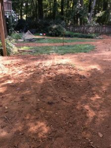 Vaughn 2019-09-12 14.50.50 copy