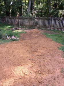 Vaughn 2019-09-12 14.51.06 copy