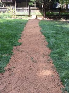 Vaughn 2019-09-12 14.51.12 copy