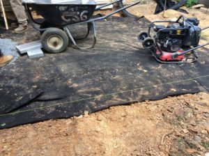 Vaughn 2019-09-12 14.52.56 copy