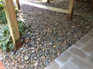 Vaughn 2019-09-18 15.03.05 copy