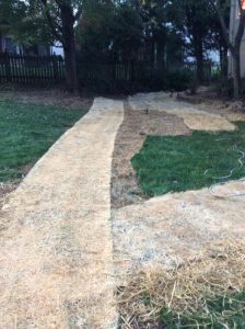 Vaughn 2019-09-24 18.58.45 copy