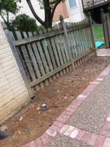 Vaughn 2019-10-25 13.40.51 copy