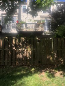 Wright 2020-07-10 09.34.07
