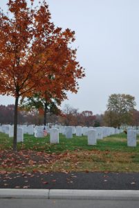 arlington-national-cemetery_8365822751_o