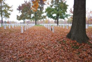 arlington-national-cemetery_8365823163_o