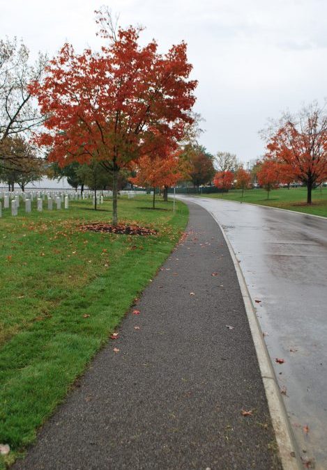 Arlington National Cemetery