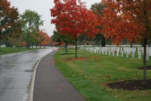 arlington-national-cemetery_8366888346_o