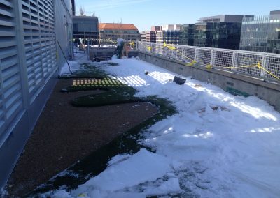 citycenterdc-rooftoop-dogpark_15467805838_o